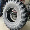 Lốp Xúc Lật - Lốp 14.00-24 SIBA