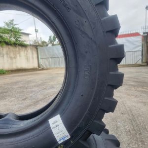 Mã gai MT54