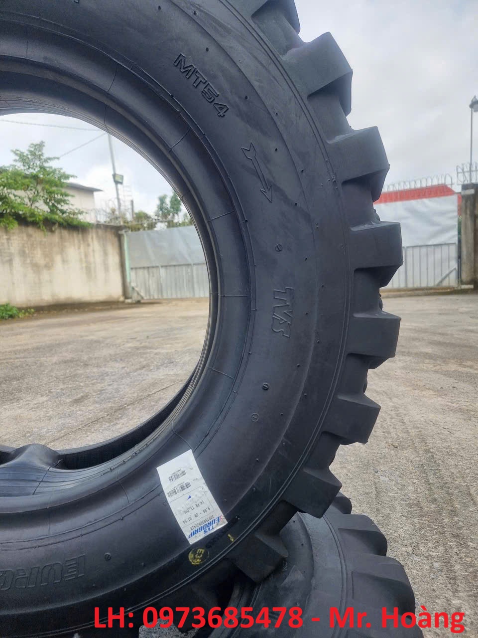 Mã gai MT54